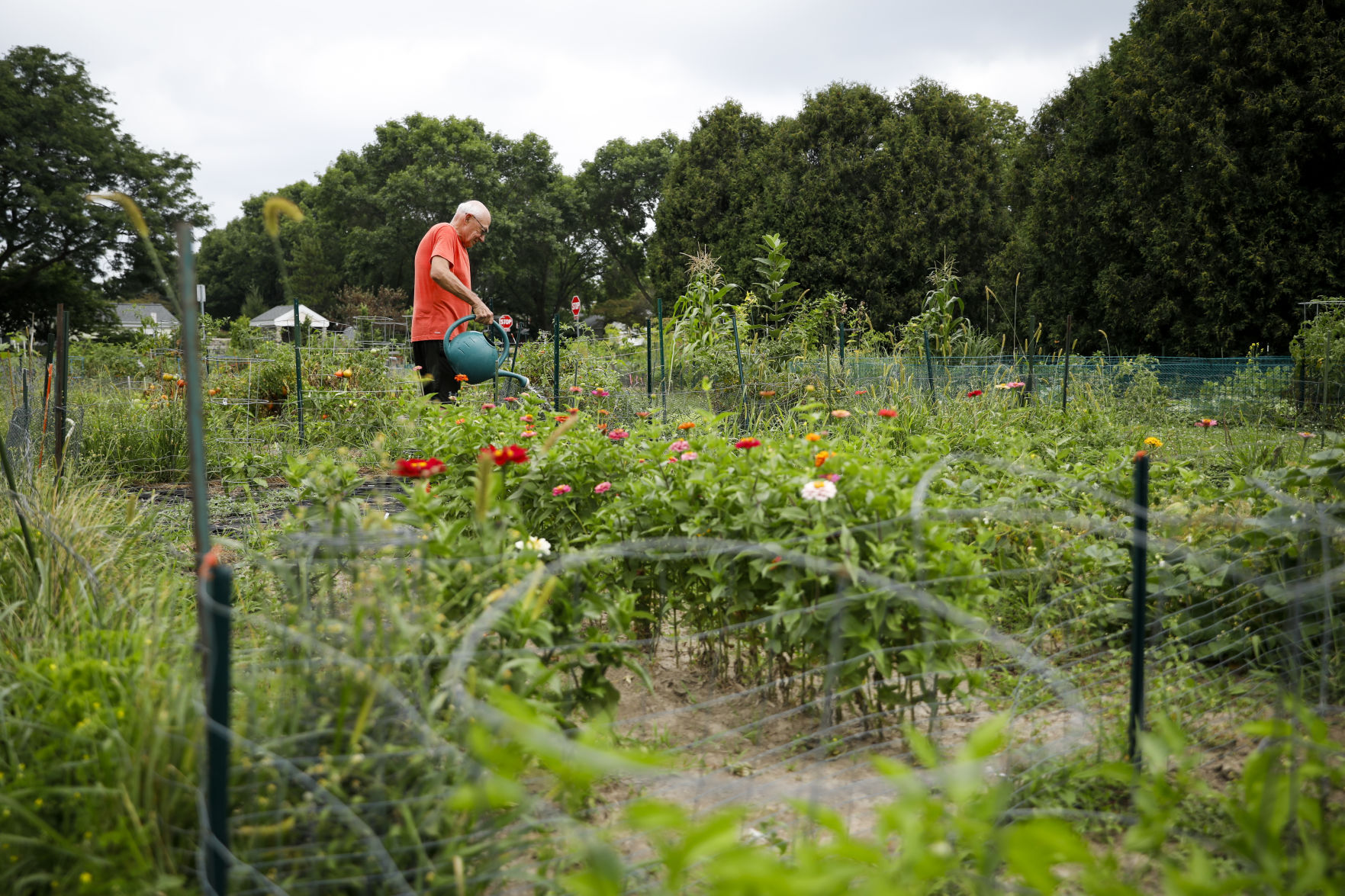 Community Gardens 080920 21-08092020175228